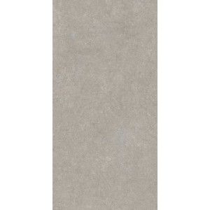 ELEMENTAL STONE GREY SANDSTONE BRUSHED 20MM 60X120 RECTIFIED - CERIM 766430