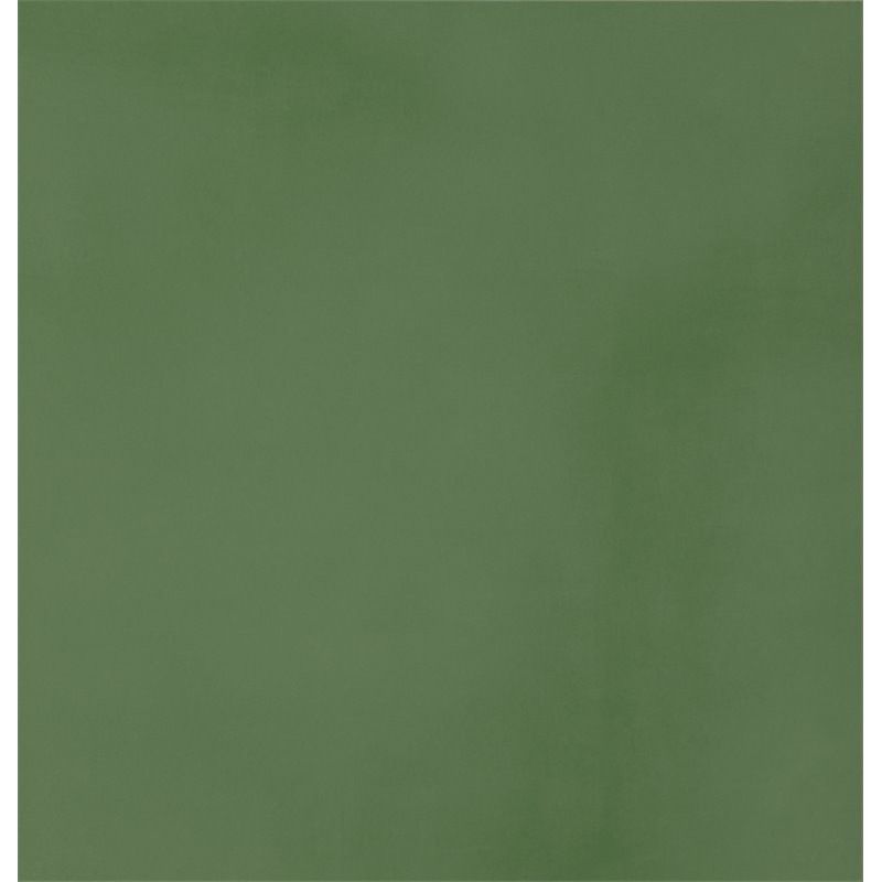 R-EVOLUTION GREEN 9MM 60x120 9MM - CASALGRANDE PADANA 11720034