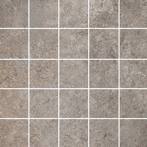 SHIRE MOSAICO 5 30X30 DEVON R11 ANTISLIP - Iris Ceramica 868591 IRIS CERAMICA - 1